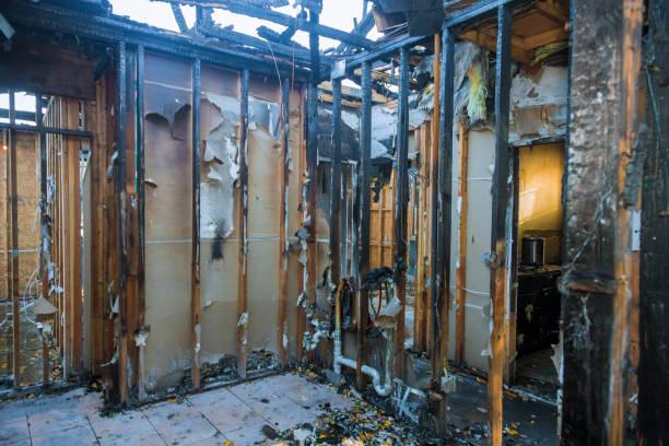 Professional Fire Damage Assessment technician working in Spring Park, MN