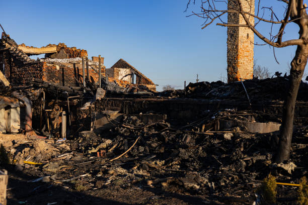 Reliable Fire Damage Assessment contractor in Spring Park, MN by Fire Damage Doption