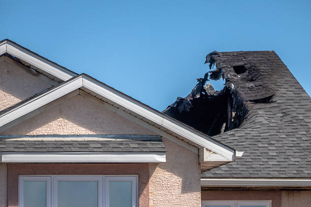 Top rated local Fire Damage Assessment specialists in Spring Park, MN